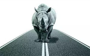 臣通觀點(diǎn)丨小心，中國(guó)產(chǎn)業(yè)園區(qū)的“灰犀?！庇謥?lái)了！